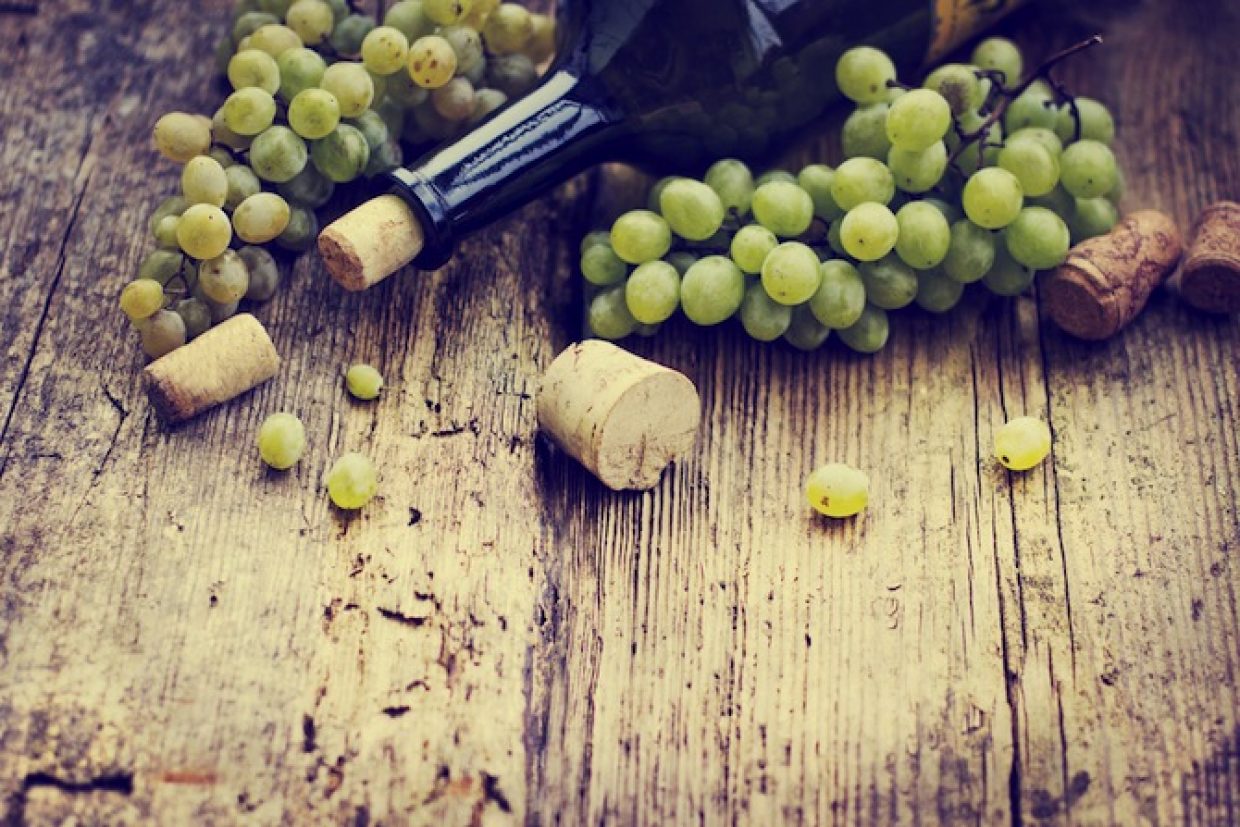 cropped-wine-grapes1.jpg