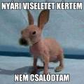 Kánikulára