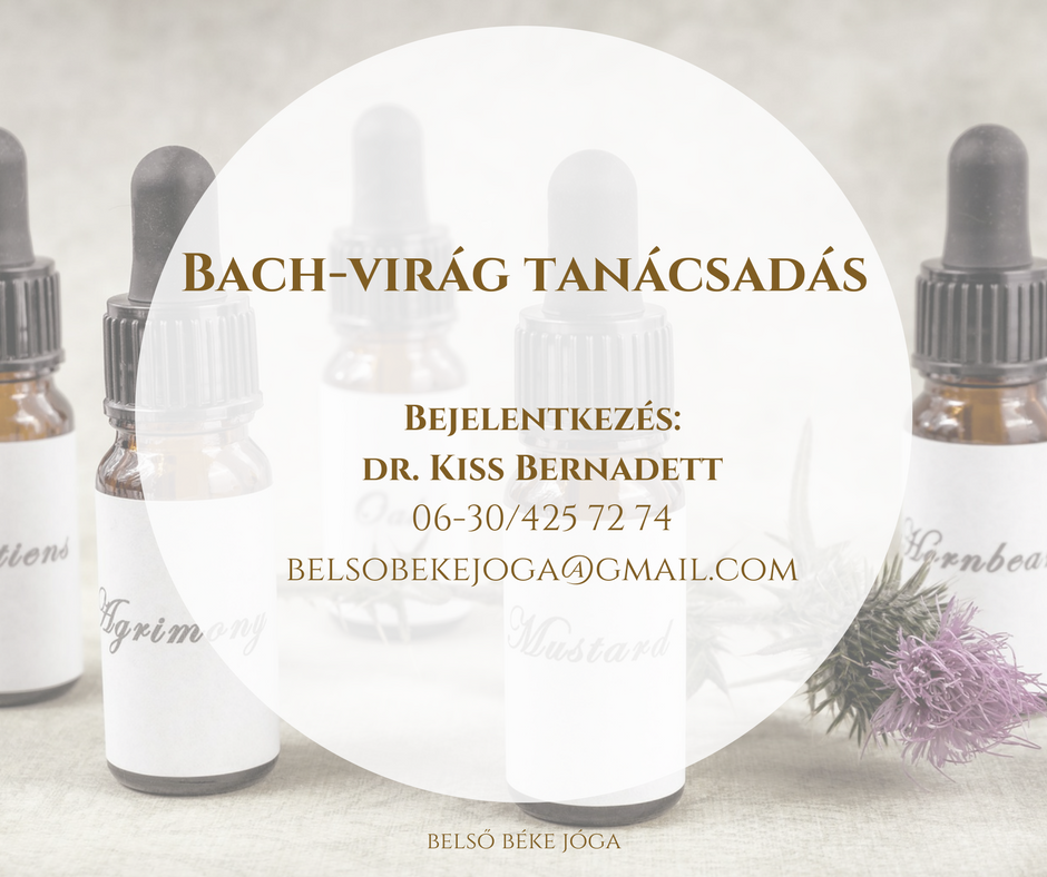 bach-virag_tanacsadas.png