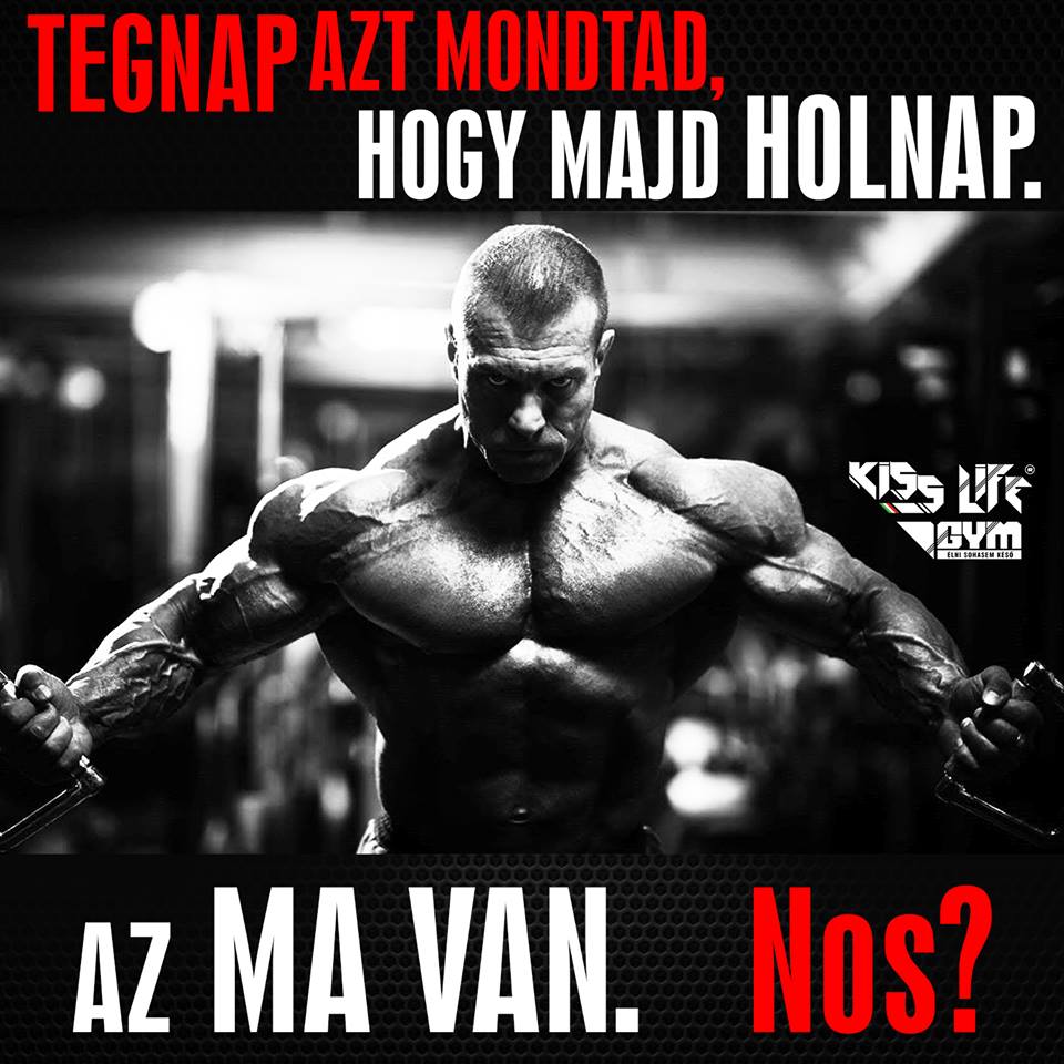 edzes2.jpg