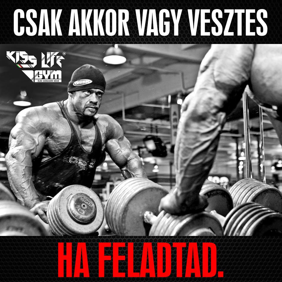 gergo6.jpg
