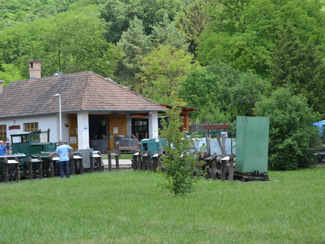 A Kemencei Erdei Múzeumvasút Gyermeknapon