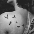 kell nekem kell.*--*