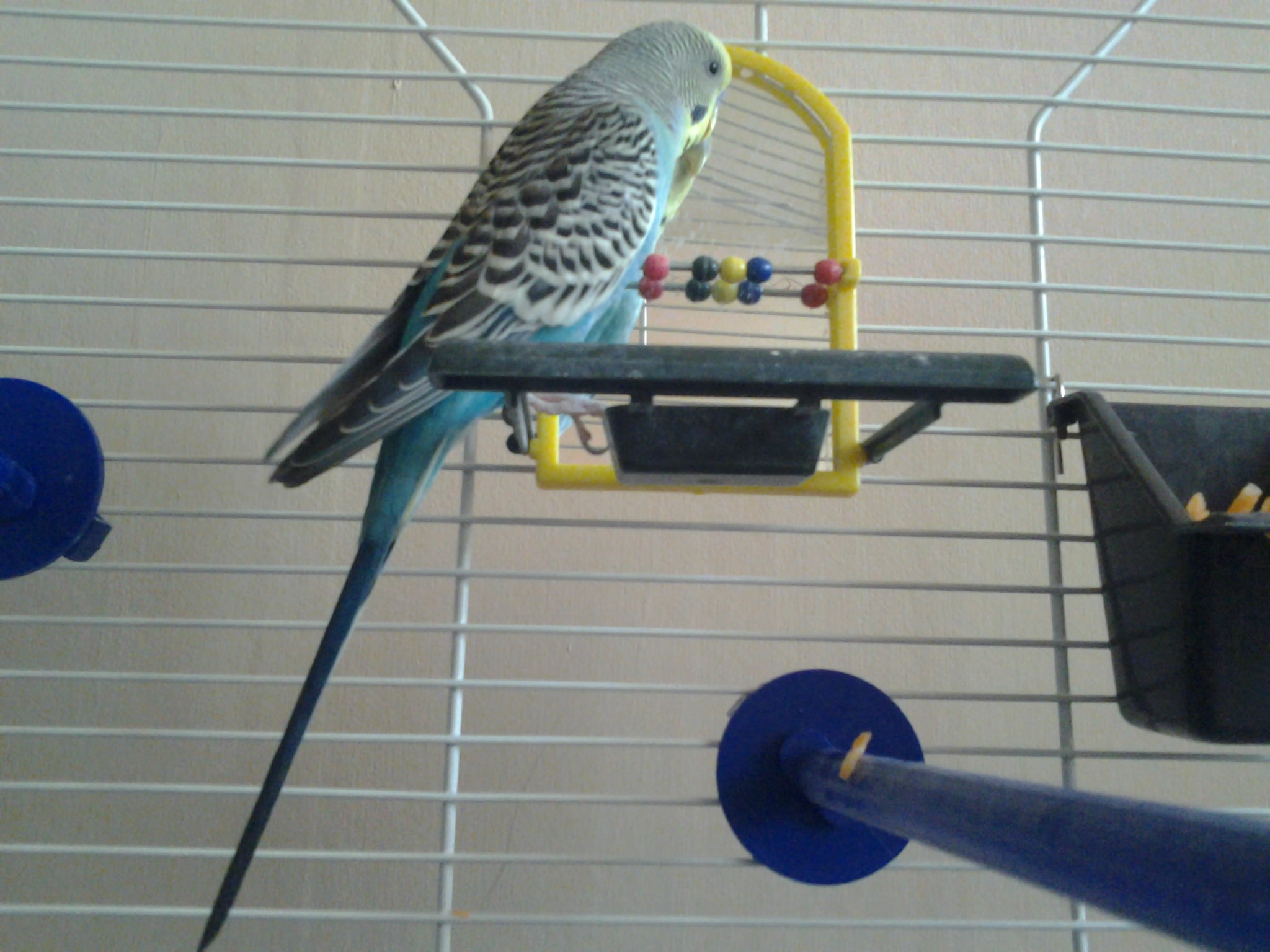 2013-04-07_13_06_46.jpg