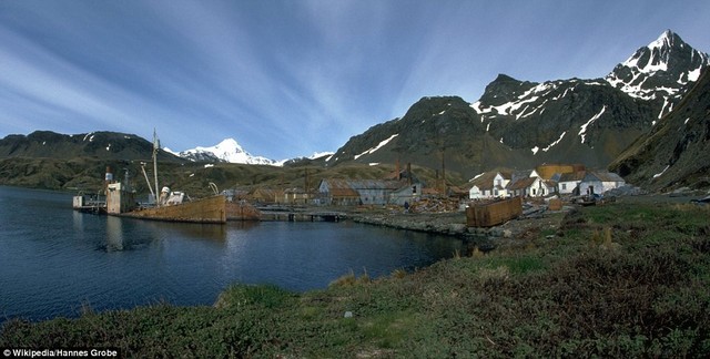 Grytviken.jpg