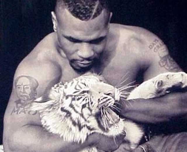 Mike Tyson tigrise.jpg