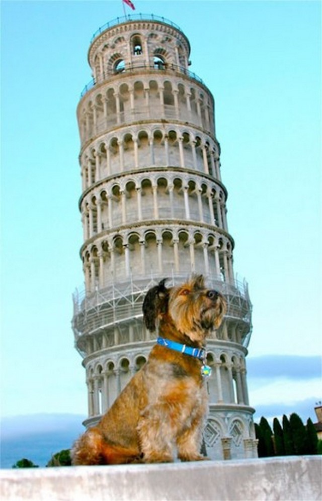 Pisa.jpg