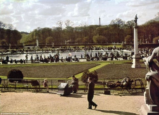 nyüzsgő park.jpg