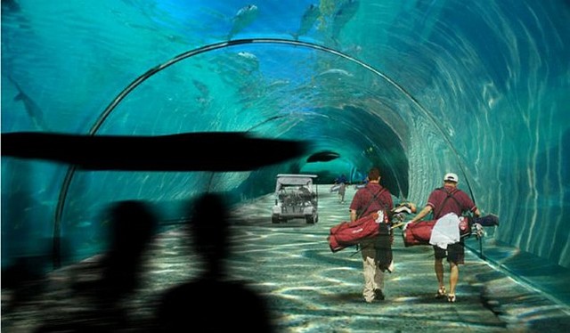 víz alatti alagút.jpg