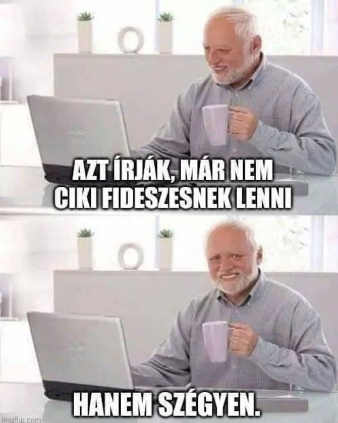 ciki_szegyen_fide.jpg