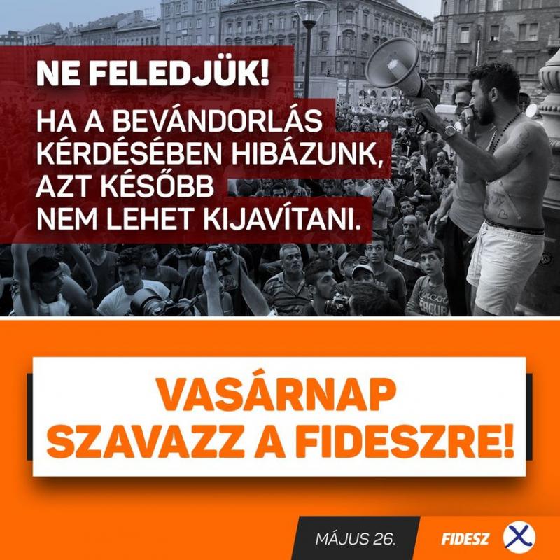 fidesz_migrans.jpg