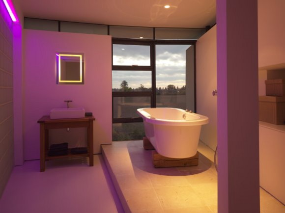 Ellis-Williams-Architects-Gleaming-Bathtub.jpg