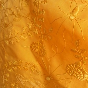 vam ac uk golden_spider_silk_290x290.jpg