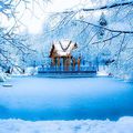 ❄️#winterwonderland #winter #westpark #münchen #lifeinmunich #blogger #photography #photo #instaphoto #pic #picoftheday #canon #canonphoto
