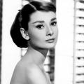 Audrey Hepburn merchandise