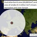 Brutális térkép az ausztrál tűzről