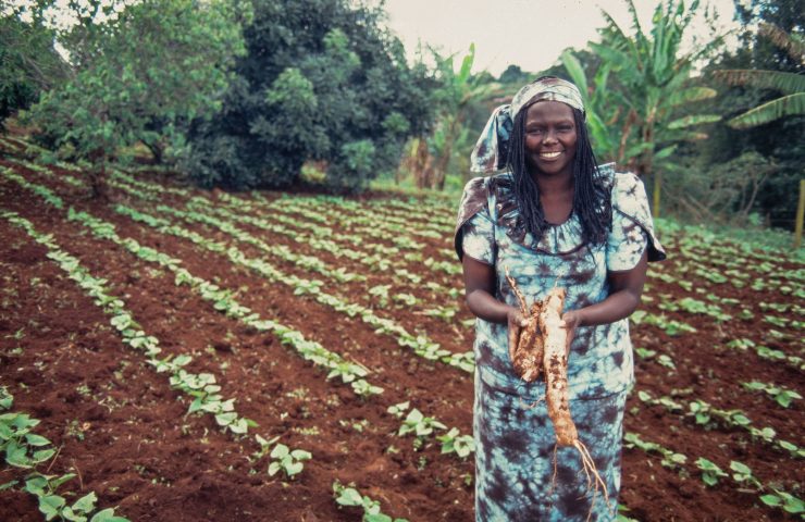 kenyan-activist-wangari-maathai-525194310-58c341ef5f9b58af5c638e4c-740x480.jpg