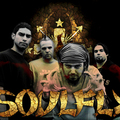 Új Soulfly lemez