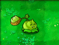 Cabbage-pult_(Animated).gif