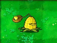 Kernel-pult_(Animated).gif