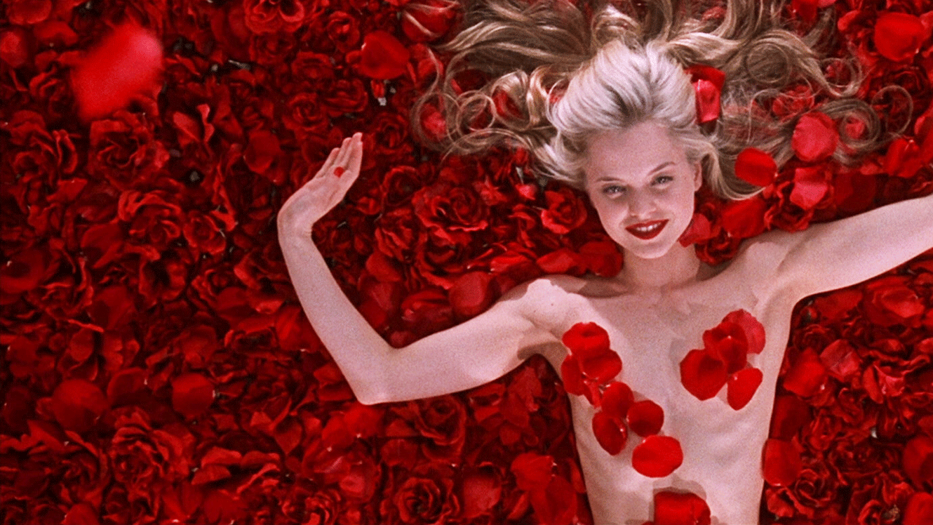 american-beauty-di_jpeg.gif