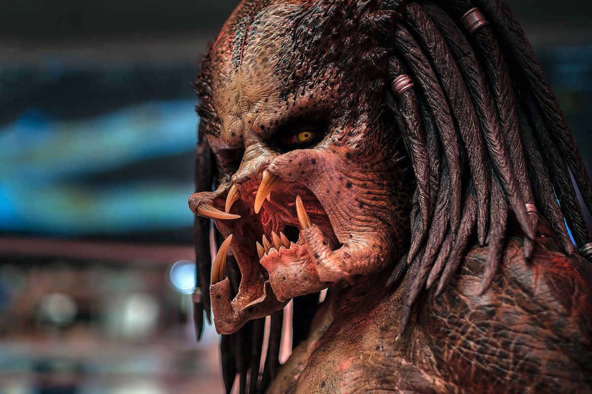 the_predator.jpg