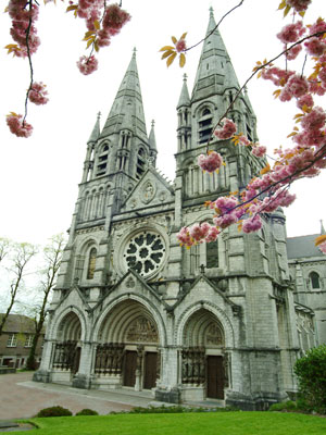 CorkStFinbarr'sCathedral_op.jpg