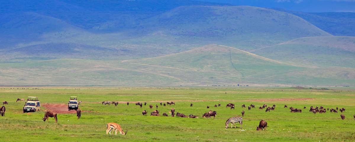ngorongoro-crater-game-viewing-safari-1200x480.jpg