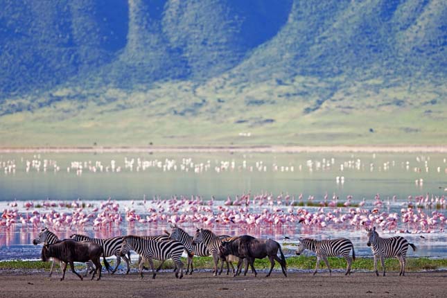 ngorongoro-krater-23.jpg