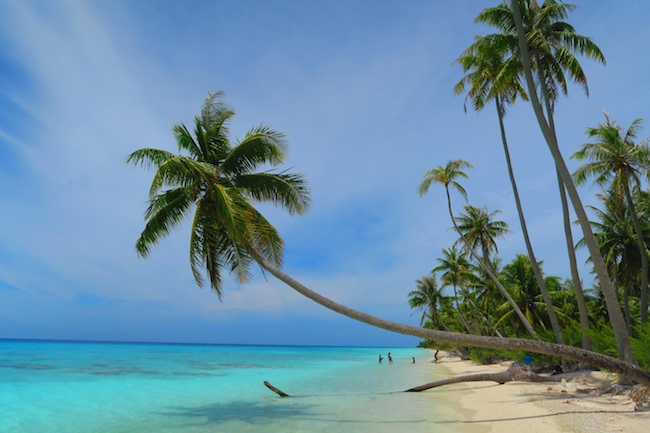 pk9-tropical-beach-fakarava-atoll-french-polynesia-1.jpg