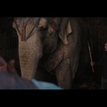 Water for Elephants (Movie)