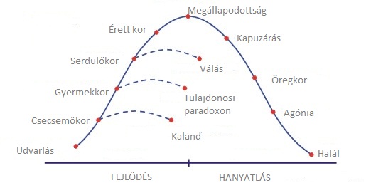 vállalati életciklus.jpg