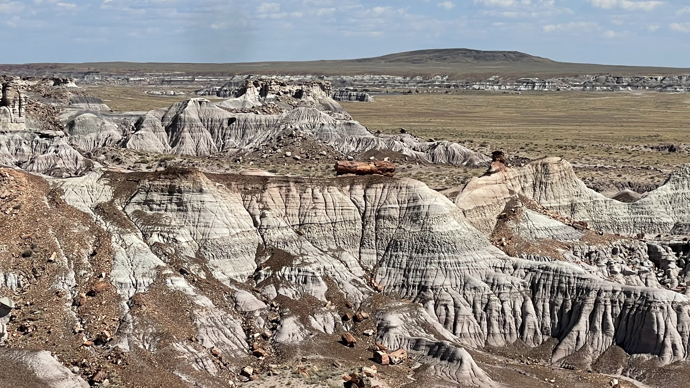 Painted Desert