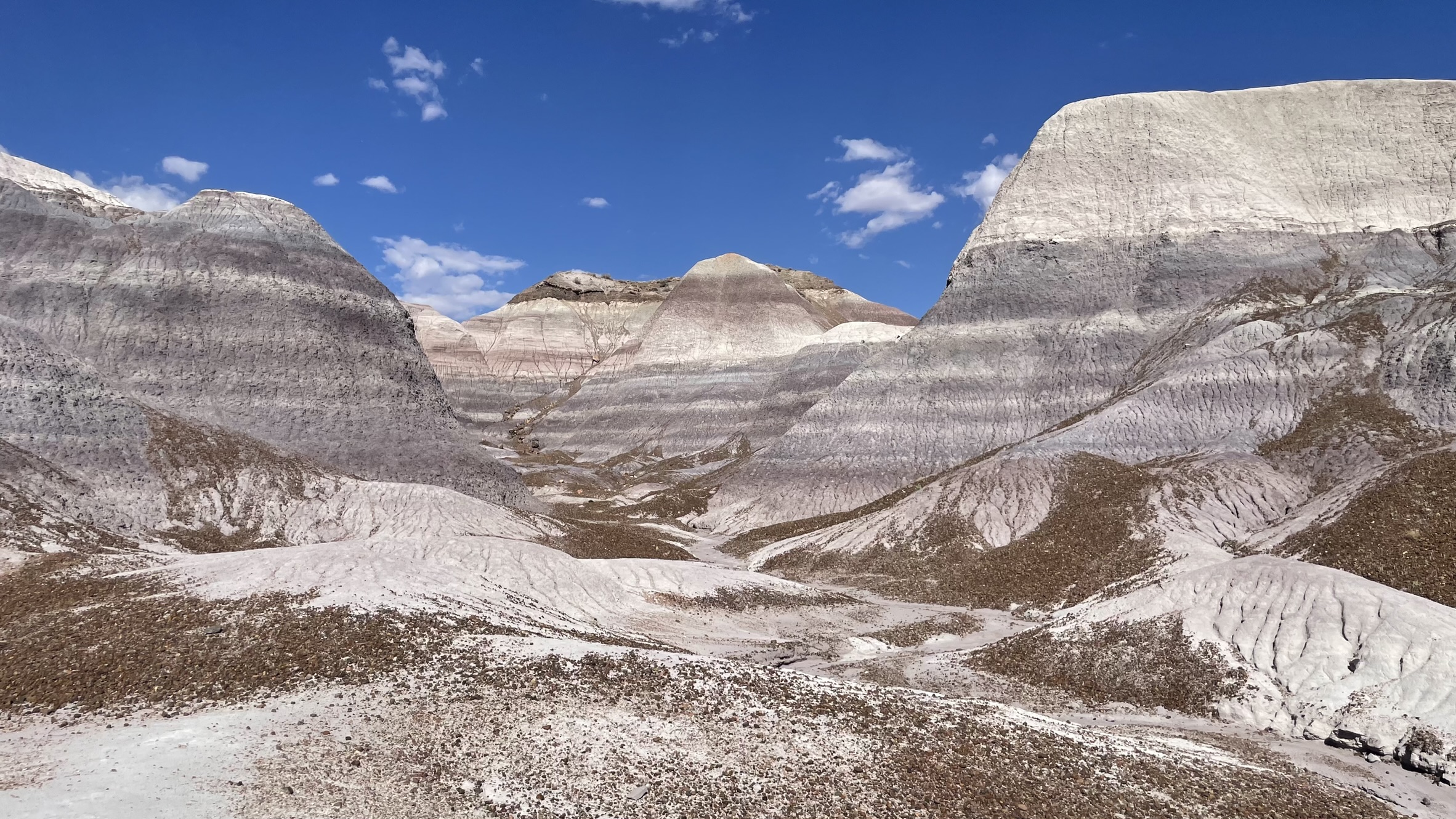 Painted Desert