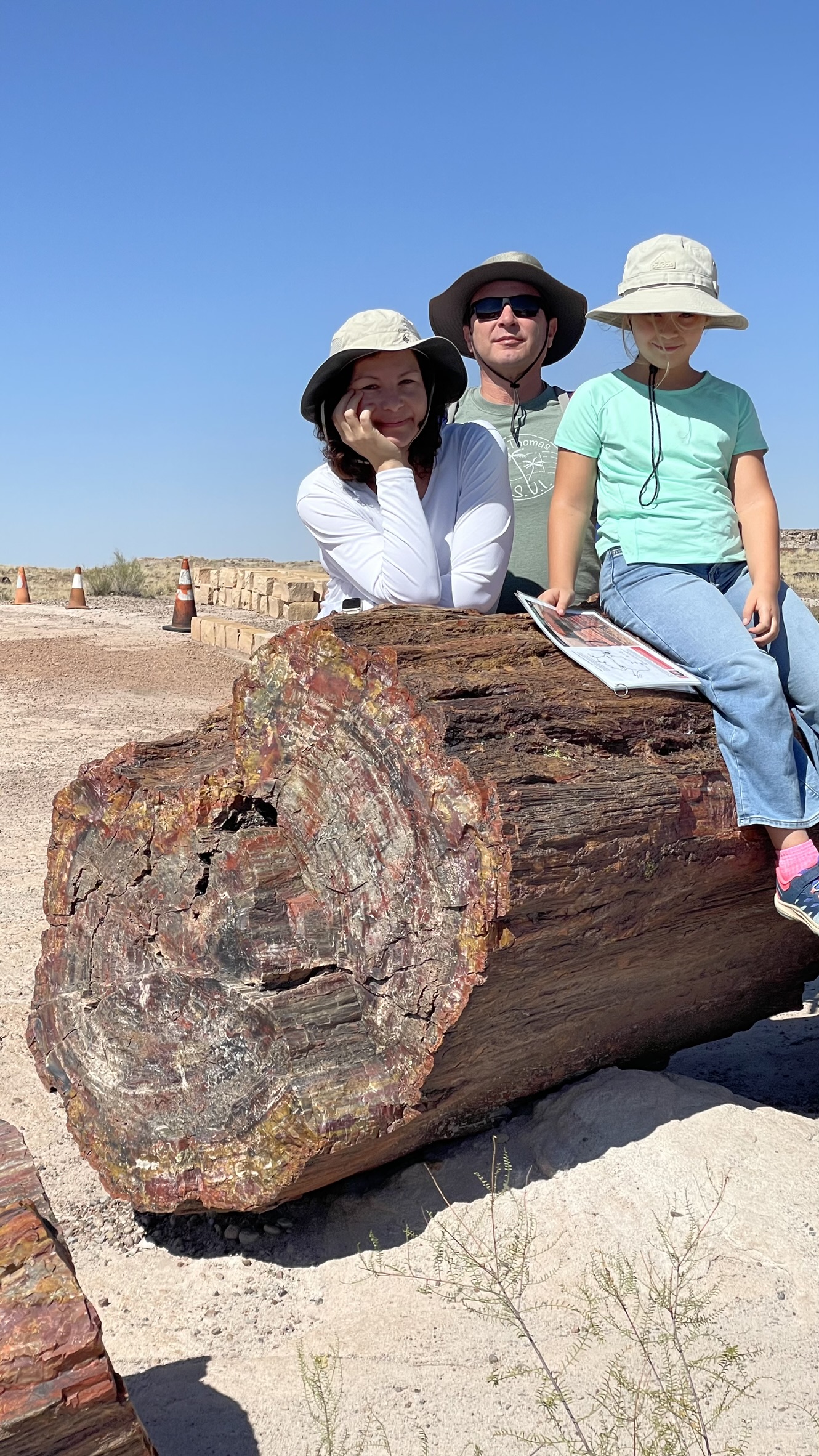 Petrified Forest (kővé vált erdő). Ez nem erdő igazából, hanem a sivatagban felszínre került 200 millió éves fatörzsek. Az akkor kidőlt fák lesüllyedtek a mocsárba, ahol bonyolult folyamatok során minden bennünk lévő szövet, ami eredetileg fa volt, kicserélődött, és kővé vált. A színeit különböző ásványi anyagok más-más arányú jelenlétének köszönheti, ami egyébként a többi kőzetre is igaz.