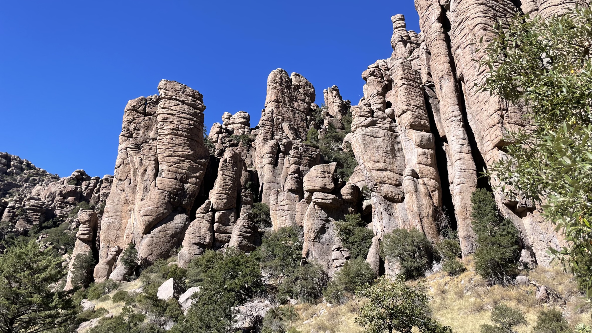 Orgonasípok - Chiricahua National Monument