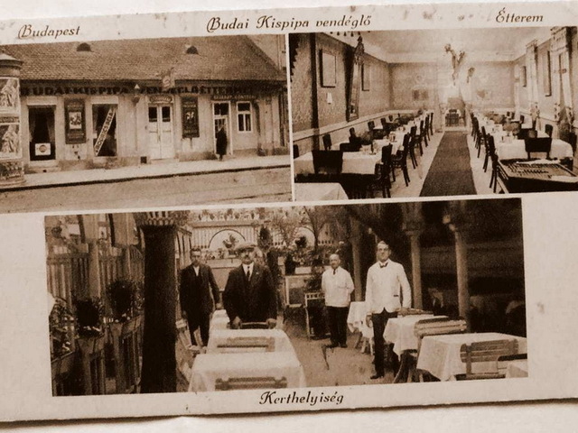 Budai kiskocsmák az Observerben