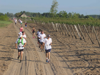 Nemzeti Bor Maraton 2016