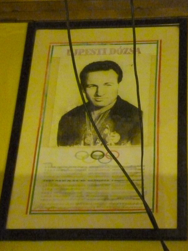 Névadó