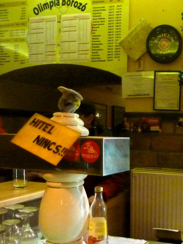 Hitel nincs!