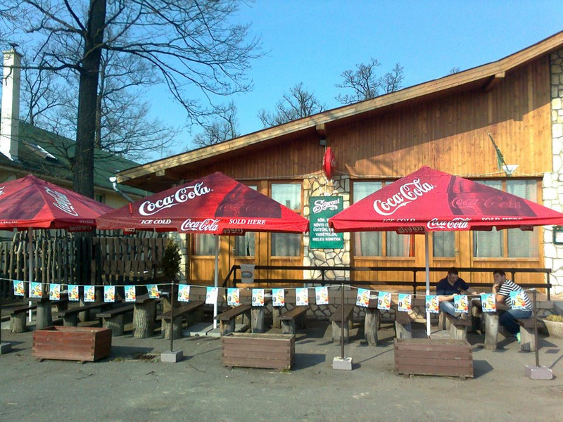 Árnyékos