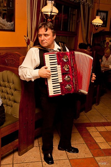 Harmónika show