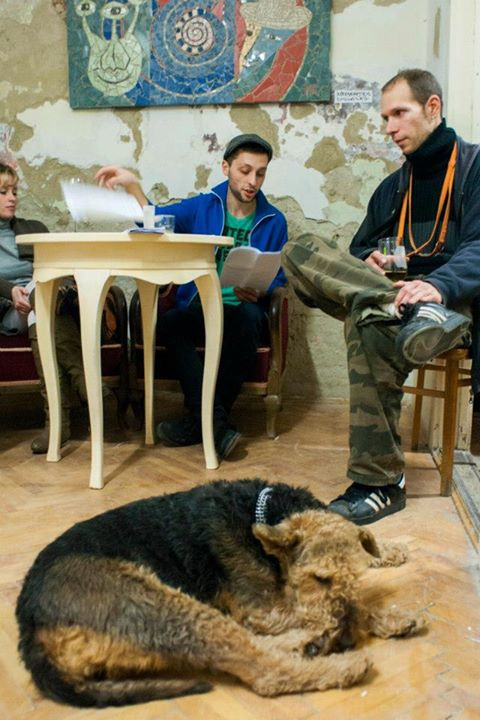 Kutyavilág