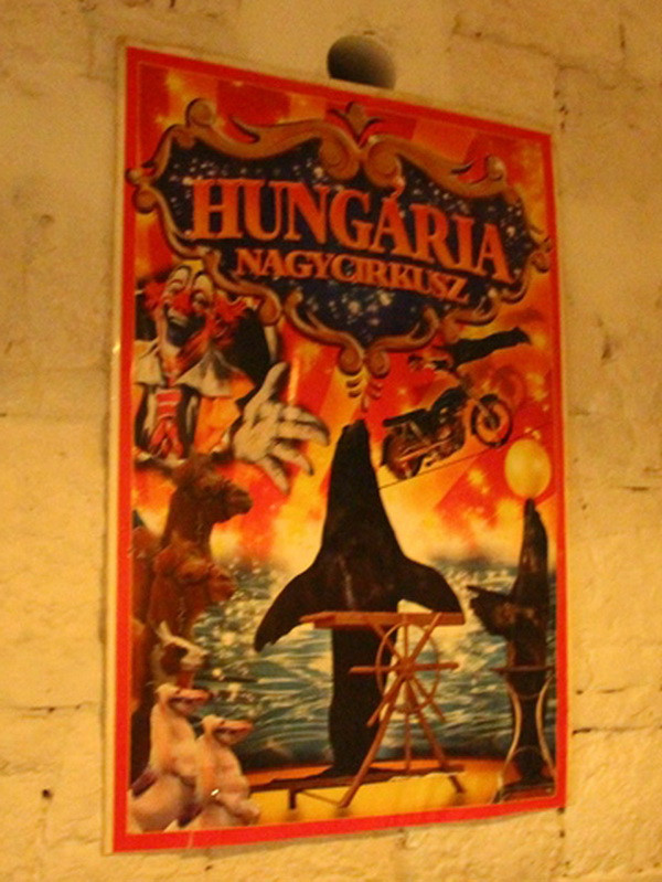 Nagycirkusz