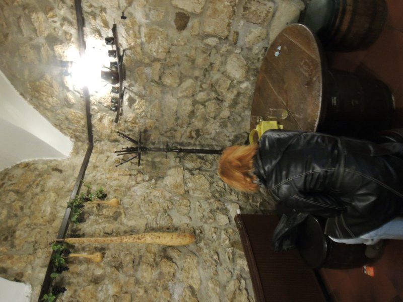 gyogygodor015
