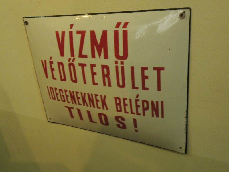 felni015