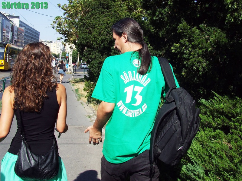 sortura20133