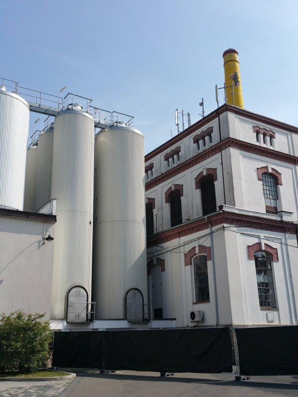 kozel008