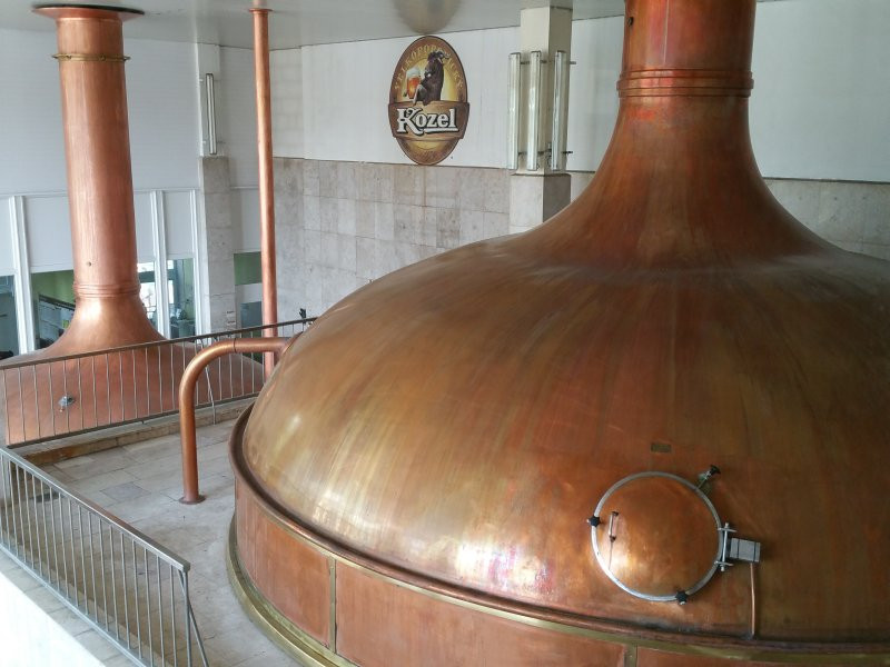 kozel016