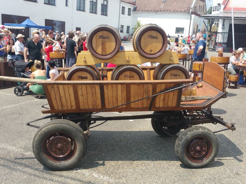 kozel027